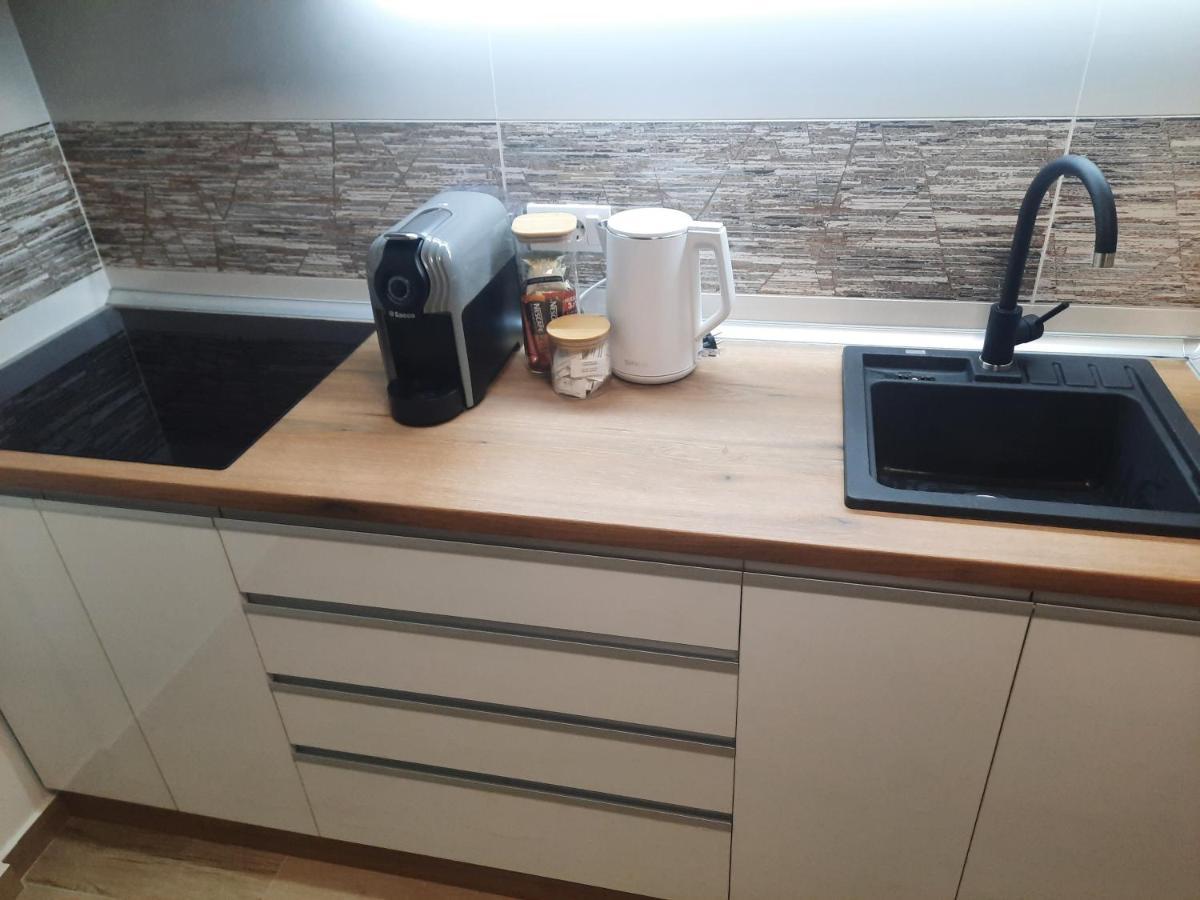 Apartman Lux-Besplatno Koriscenje Zasebne Garaze 斯雷姆斯卡米特罗维察 外观 照片