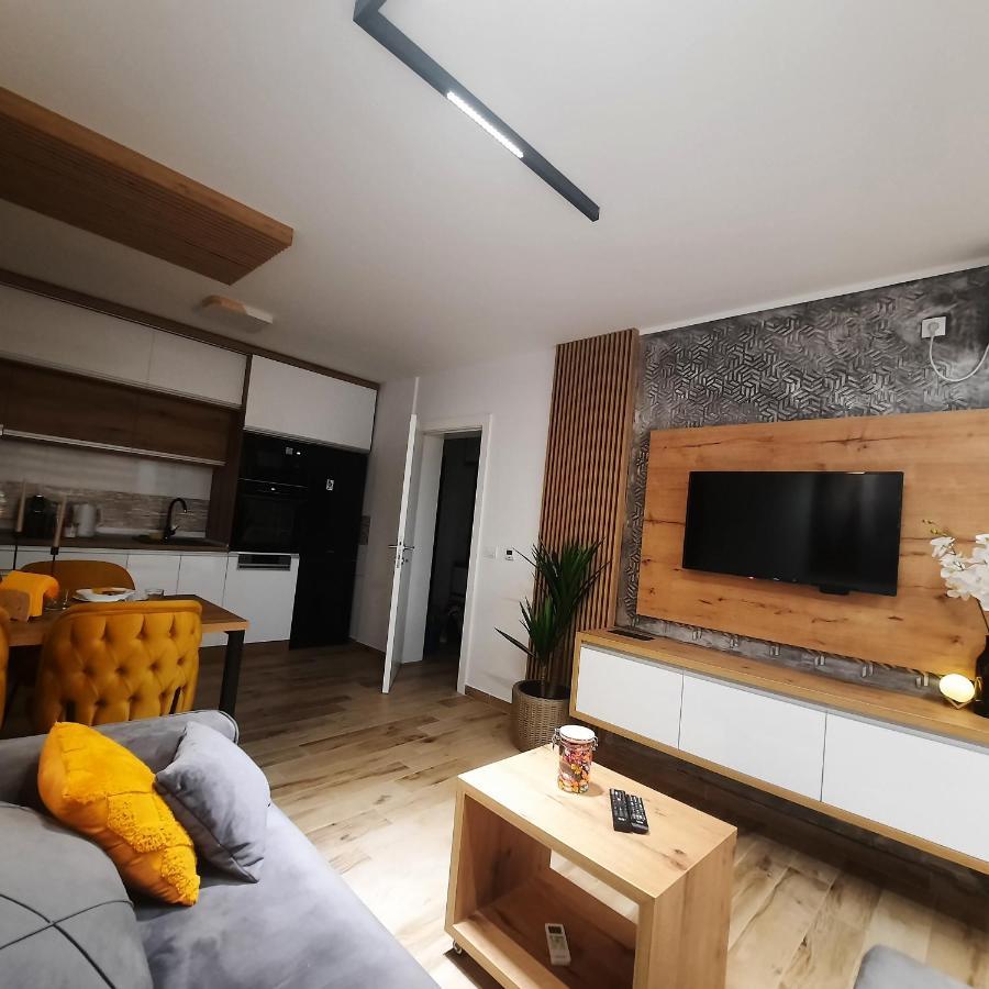 Apartman Lux-Besplatno Koriscenje Zasebne Garaze 斯雷姆斯卡米特罗维察 外观 照片